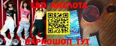 шишки Кимры