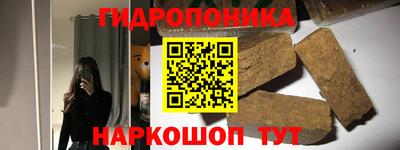 шишки Кимры