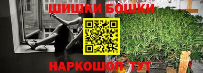 шишки Кимры