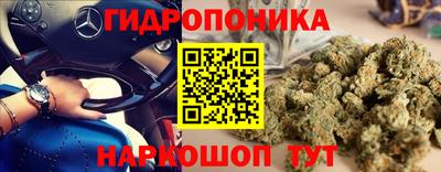 шишки Кимры