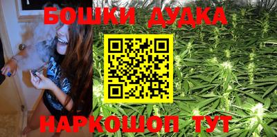 шишки Кимры