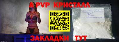 шишки Кимры