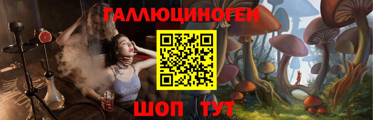 Нарьян-Мар  Галлюциногенные грибы прущие грибы  Вход с VPN 